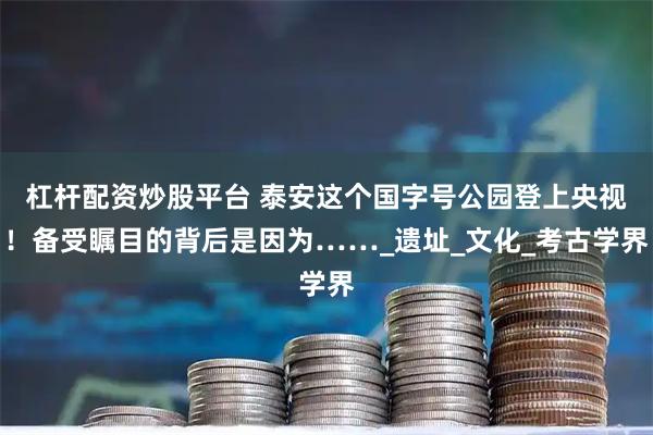 杠杆配资炒股平台 泰安这个国字号公园登上央视！备受瞩目的背后是因为……_遗址_文化_考古学界