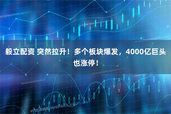 毅立配资 突然拉升！多个板块爆发，4000亿巨头也涨停！