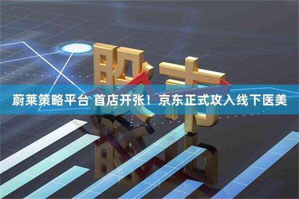 蔚莱策略平台 首店开张！京东正式攻入线下医美