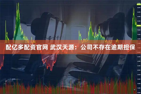 配亿多配资官网 武汉天源：公司不存在逾期担保