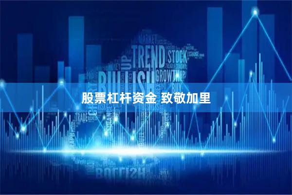 股票杠杆资金 致敬加里