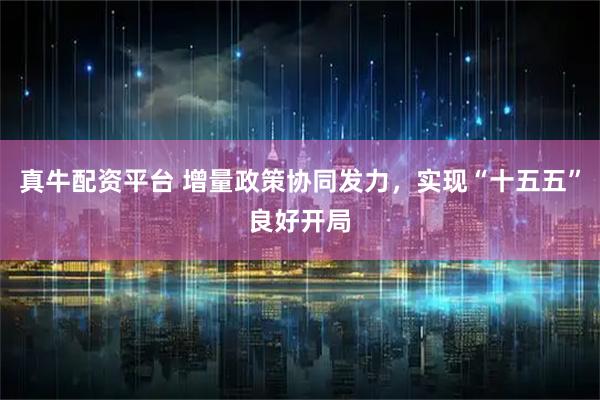 真牛配资平台 增量政策协同发力，实现“十五五”良好开局