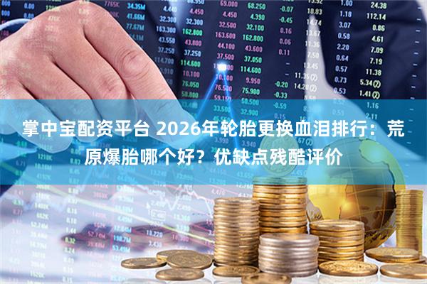 掌中宝配资平台 2026年轮胎更换血泪排行：荒原爆胎哪个好？优缺点残酷评价