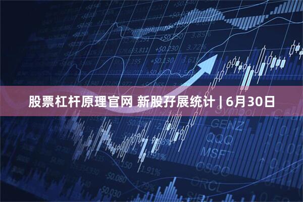 股票杠杆原理官网 新股孖展统计 | 6月30日